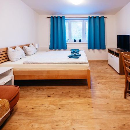 Lipno Nad Vltavou - Apartman 23 - Wifi, Parking, Netflix Εξωτερικό φωτογραφία