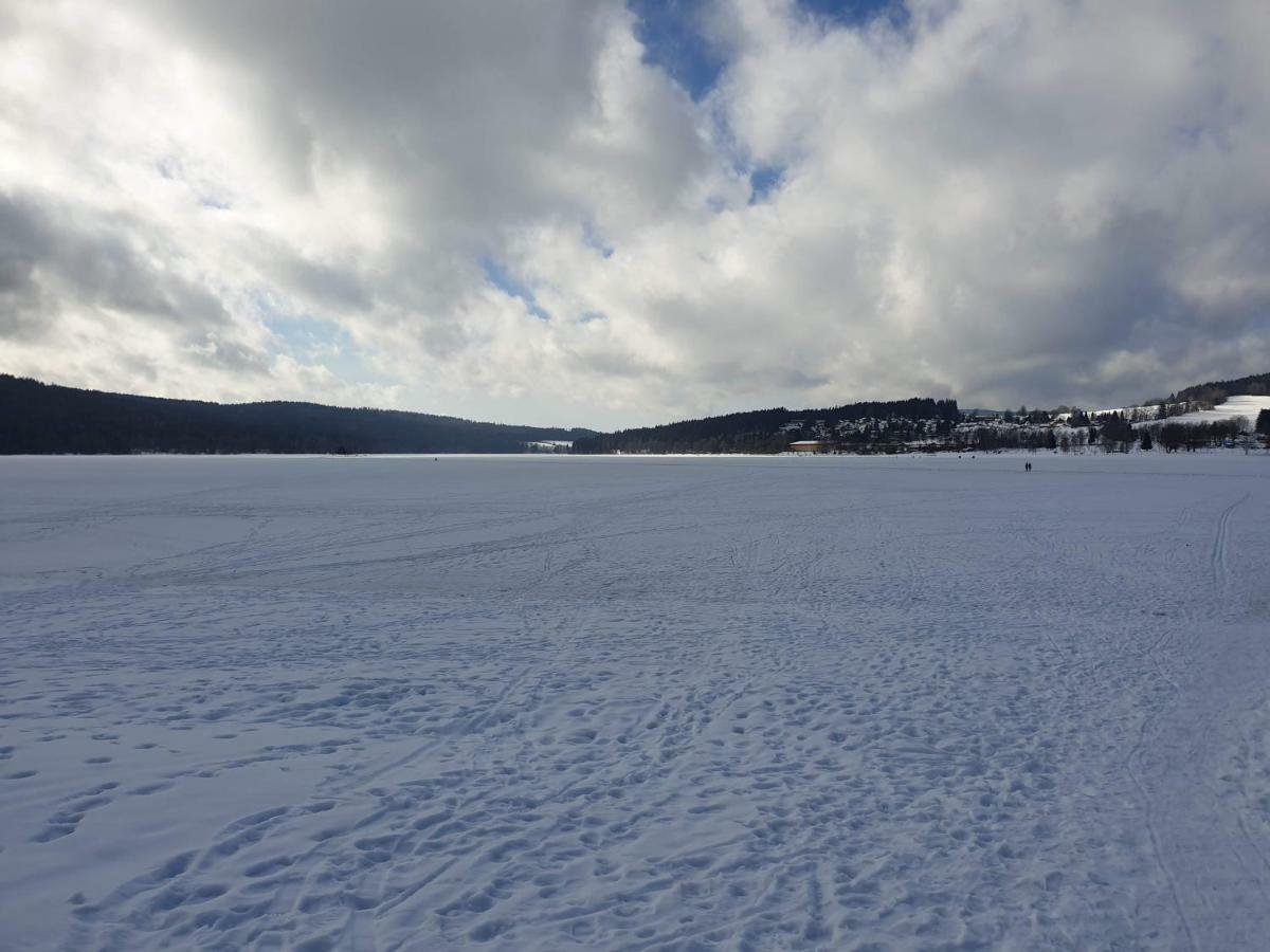 Lipno Nad Vltavou - Apartman 23 - Wifi, Parking, Netflix Εξωτερικό φωτογραφία